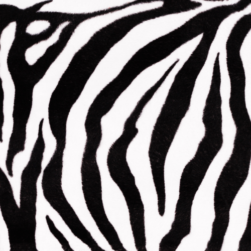 Stoff Zebra