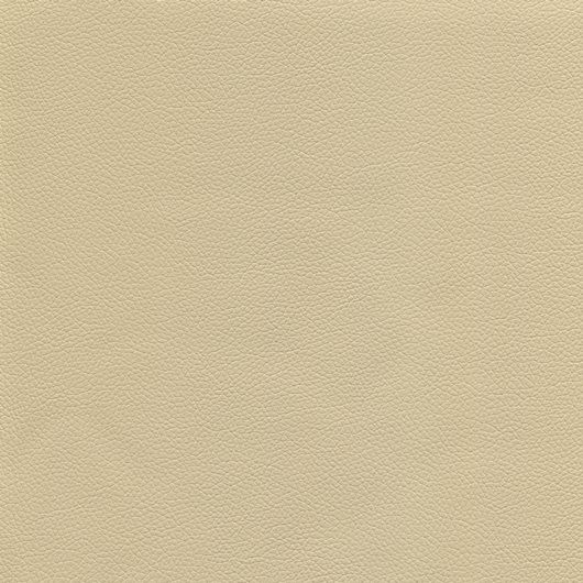 Kunstleder mit Prägung (PU) KOM24001 beige