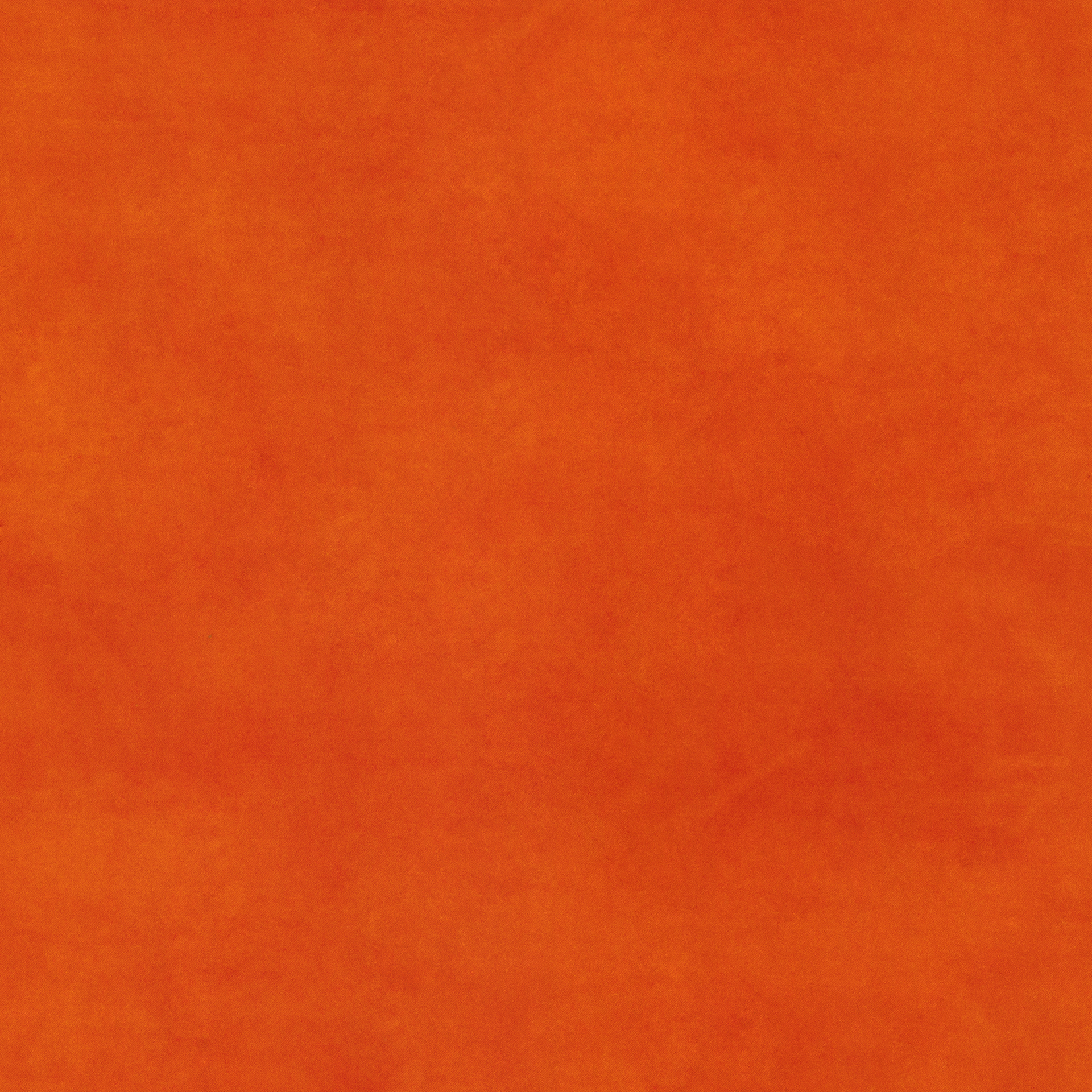 orange BELTE39 (QUICK CLEAN)