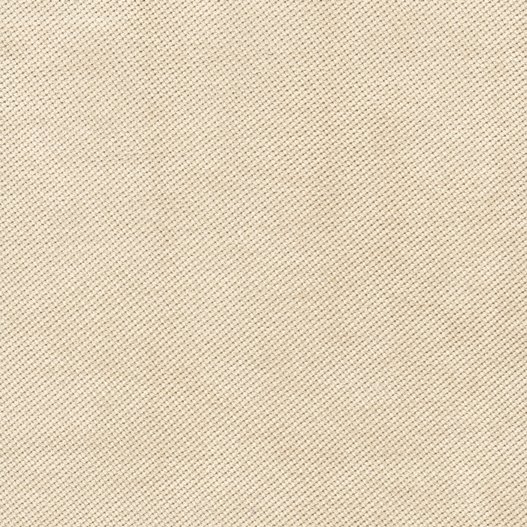 beige VER24