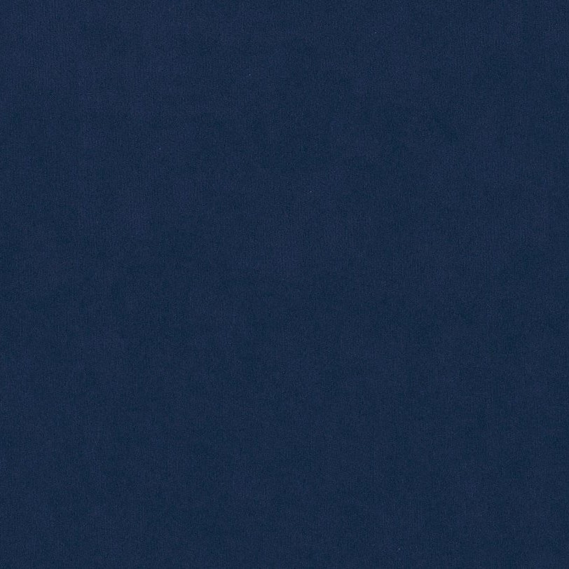blau RIV81